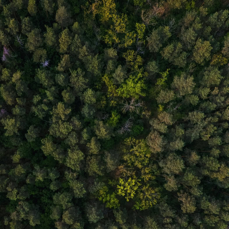 our story protection nature
