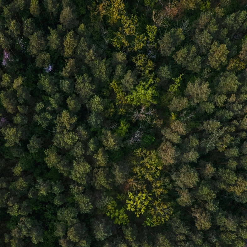 our story protection nature