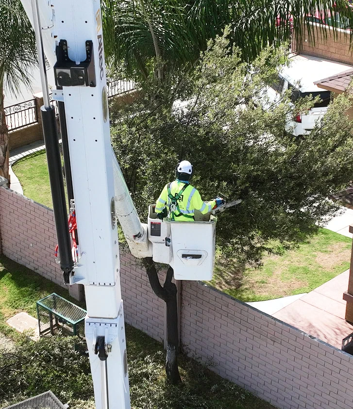 residential commercial high risk environments