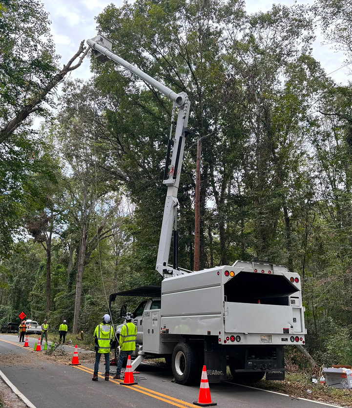 Government & Municipal Services 4 utility forestry high risk updated