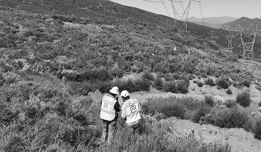utility forestry pre inspection services