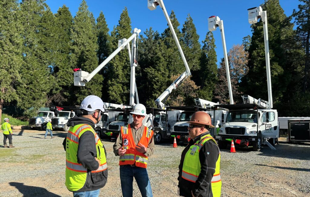 rancho tree service safety